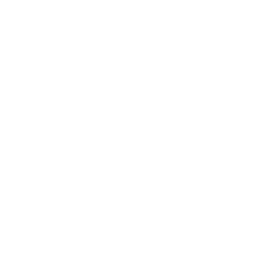 Professionals_Trained