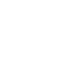 IT Infrastructure & Networking Cloud Virtualization
