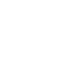 Professional Trainer