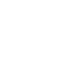 Professionals Trained